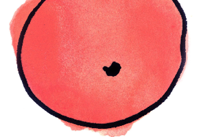 buurtbuik_logo_rgb__1_.png