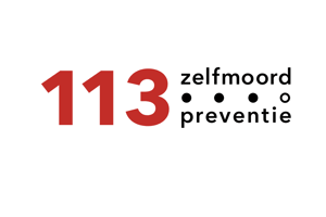 113 Logo Banner